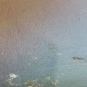 Meet your Posher, Corey